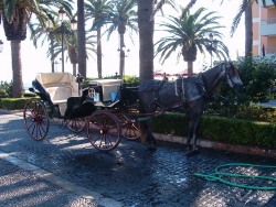Horse & Carriage at Balcon de Europa, Nerja